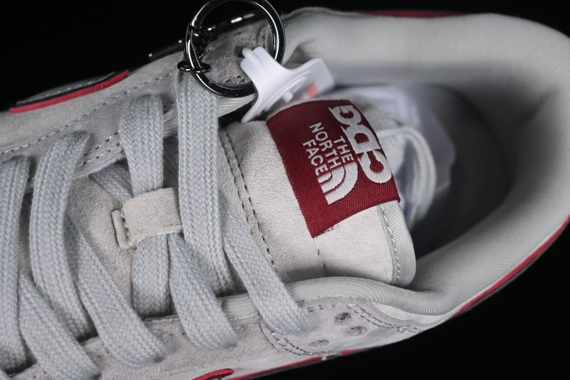 Nike Dunk Low The North Face CDG Collaboration - Grey Skateboard Shoes - DQ1098-336