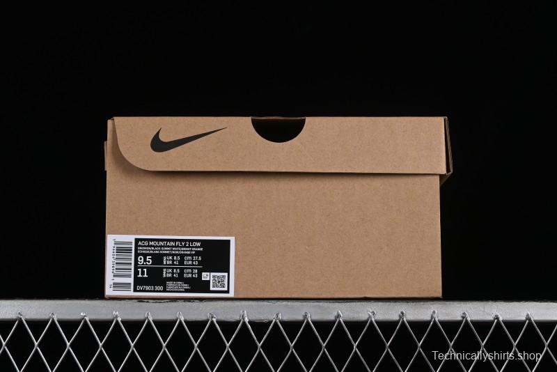 Nike ACG Mountain Fly 2 Low GTX SE Outdoor Hiking Shoes - DV7903-300