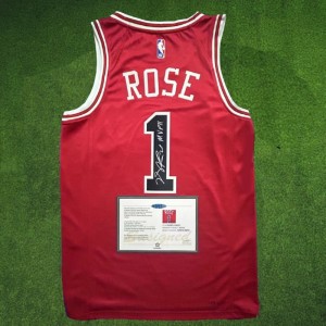 Derrick Rose nba signed